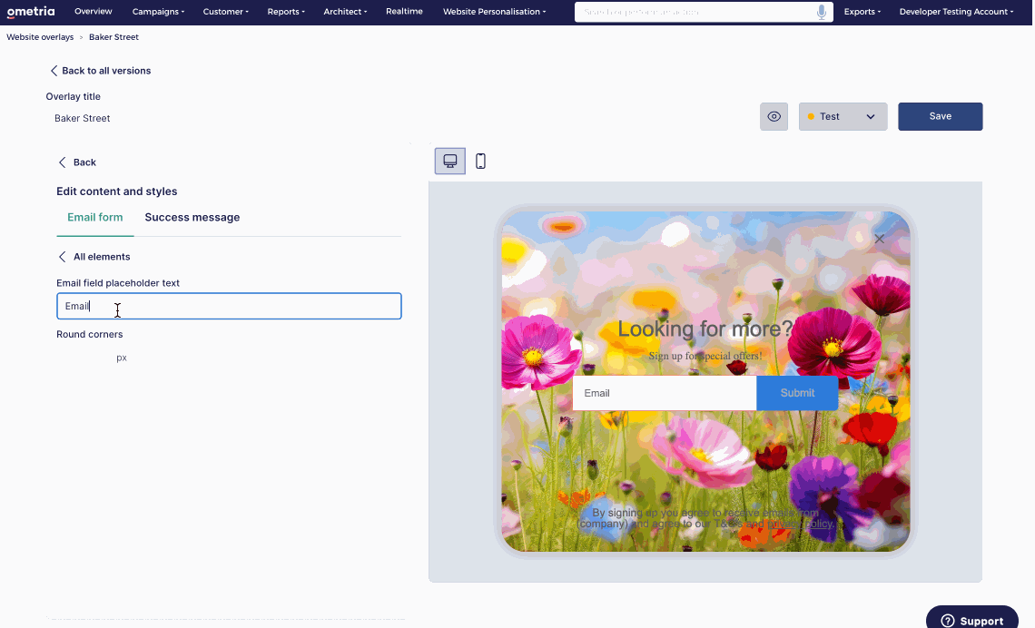 overlays input fields.gif